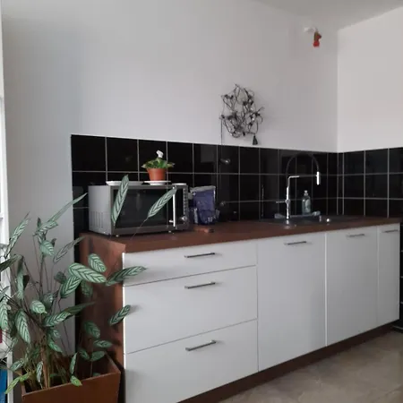 For Women Or Couples ホームステイ リュブリャナ