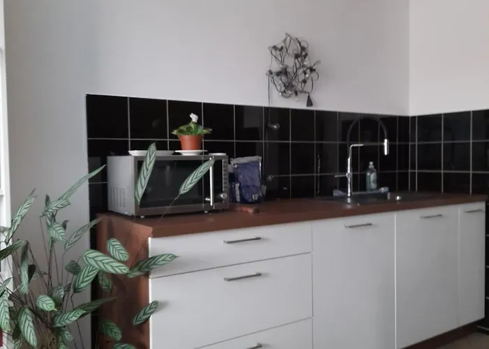 For Women Or Couples ホームステイ リュブリャナ